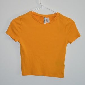 Ribbed Knit Crop Top